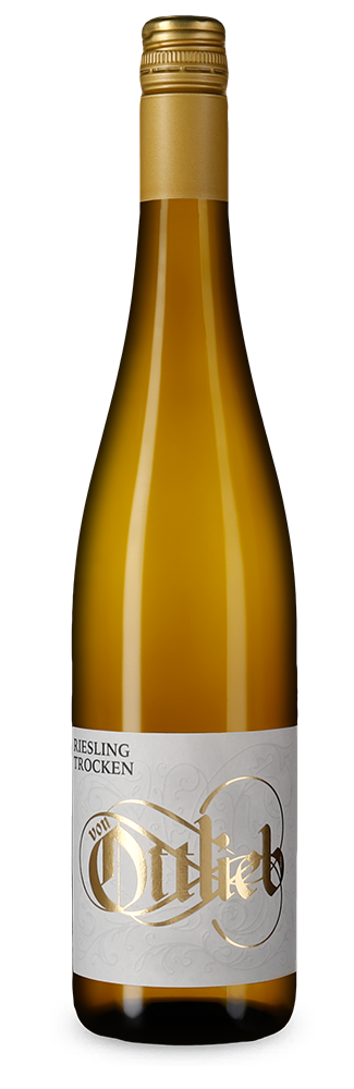 Ризлинг сухо 2024 – Gold