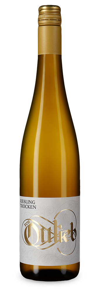 Riesling сухо 2023
