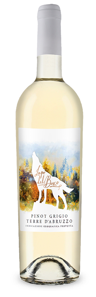 Cantina Tollo Lupo del Bosco Пино Гриджо 2024 – Gold
