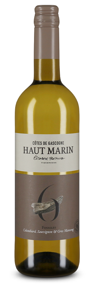 Domaine Haut-Marin Кот дьо Гаскони Блан N°6 Fossiles 2024 – Gold