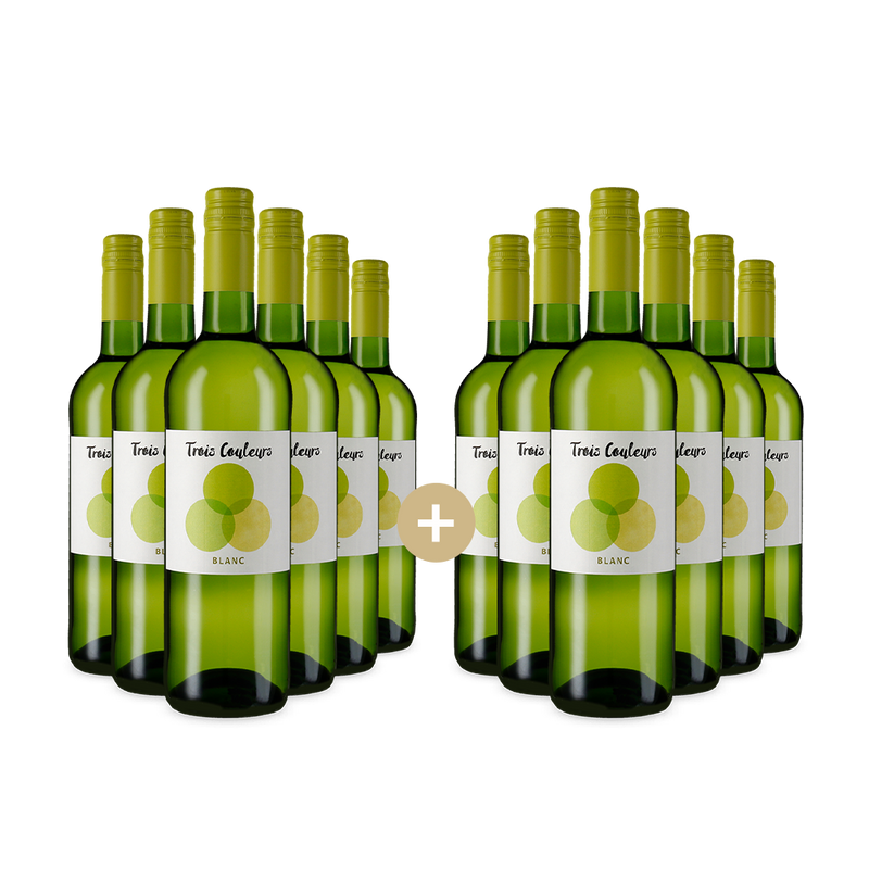 6+6 бутилки Блан 2024 – Gold