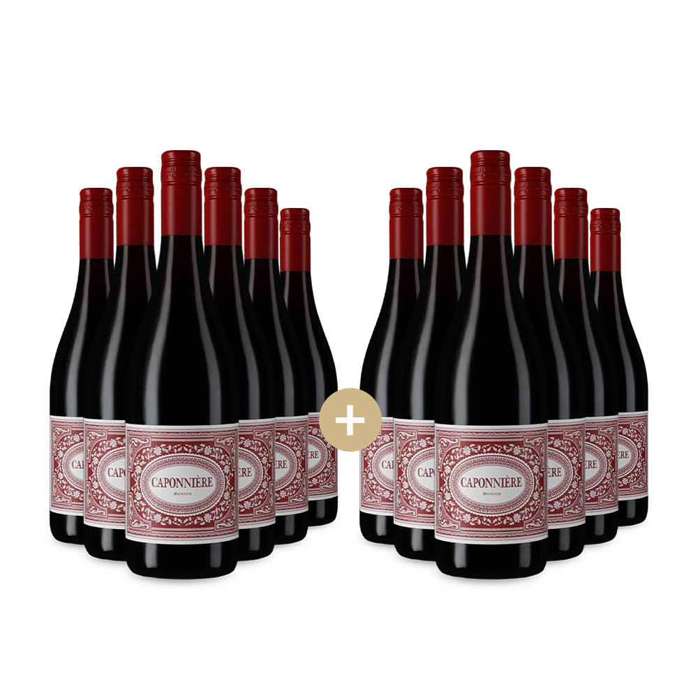 6+6 бутилки Руж 2024 – Gold