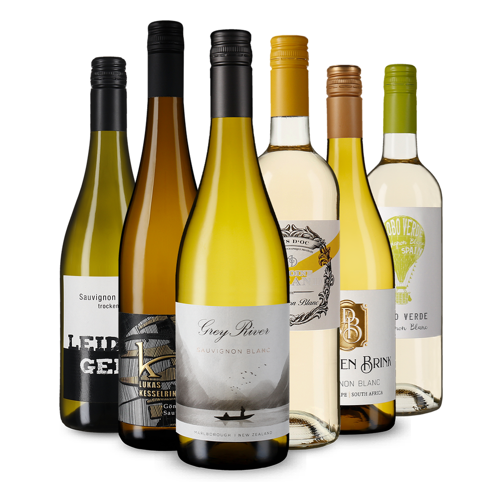 6x1 Селекция Sauvignon Blanc от цял свят